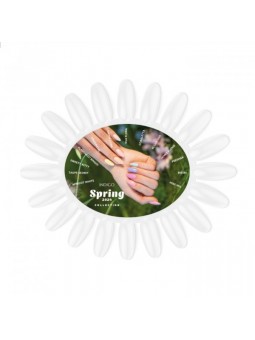 Color Chart Spring 2024