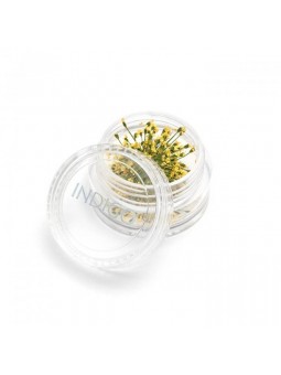 Dried Flowers Yellow