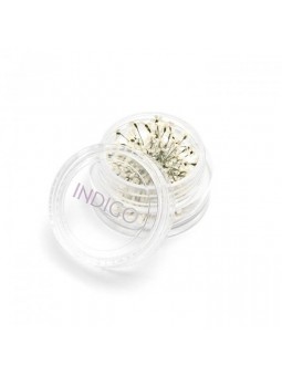 Dried Flowers White